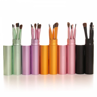 Professional 5pcs Mini Eye Makeup Brushes Set Eyeshadow Eyeliner Eyebrow Lip Makeup Brush Kit